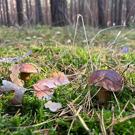 Fuer Zwei * Isenbüttel